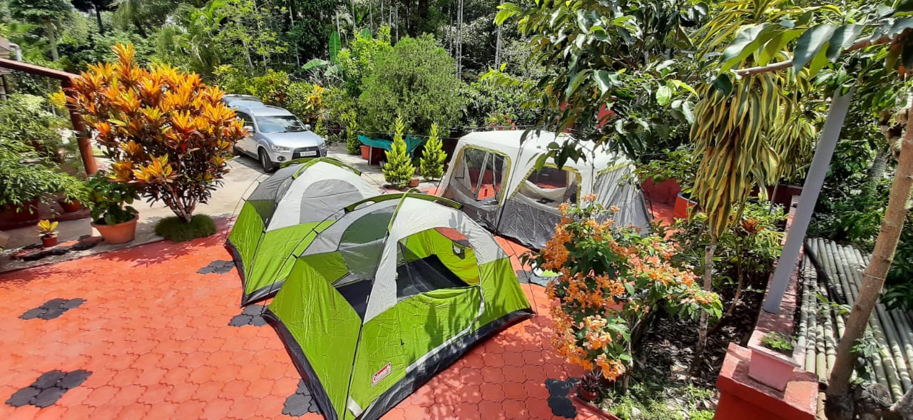 Bird Watching experience at Whispering Grove